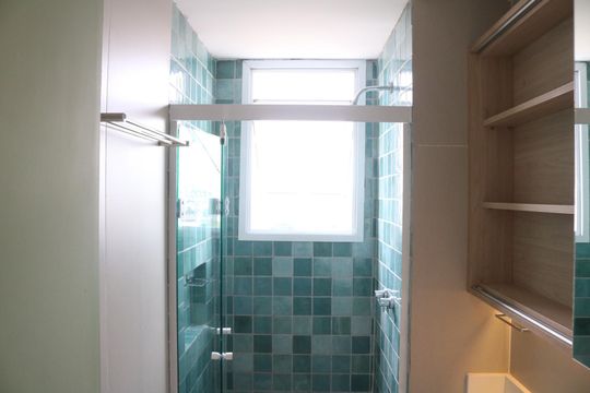 Banheiro de apartamento para alugar com 2 quartos, 46m² em Parque Industrial Tomas Edson, São Paulo
