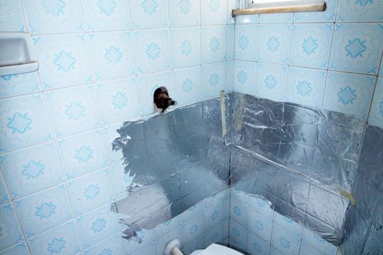 Banheiro de serviço de apartamento para alugar com 2 quartos, 86m² em Vila da Penha, Rio de Janeiro