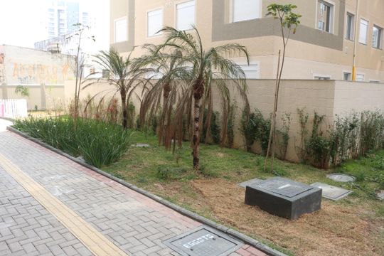 Área comum de apartamento à venda com 2 quartos, 36m² em Vila Palmares, São Caetano do Sul