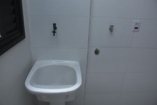 Tanque de apartamento para alugar com 1 quarto, 52m² em Parque Independencia, São Paulo