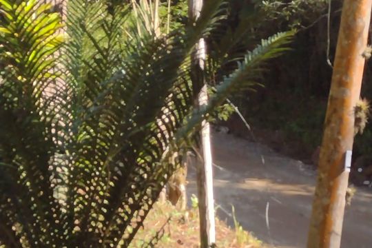 Área externa de casa para alugar com 3 quartos, 6752m² em Somma, Ribeirão Pires