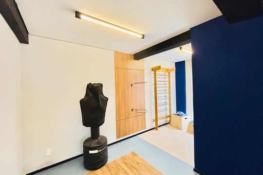 Área comum - Academia de apartamento para alugar com 2 quartos, 35m² em Vila Ré, São Paulo