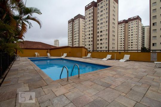 Área comum - Piscina de apartamento para alugar com 3 quartos, 78m² em Vila Campestre, São Paulo