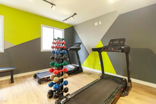 Área comum - Academia de apartamento para alugar com 2 quartos, 35m² em Vila das Belezas, São Paulo