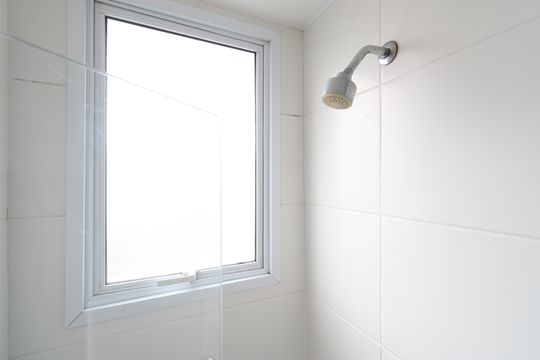 Banheiro  de apartamento para alugar com 2 quartos, 46m² em Parque Industrial Tomas Edson, São Paulo