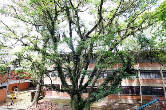Sala Vista de apartamento à venda com 2 quartos, 55m² em Petrópolis, Porto Alegre