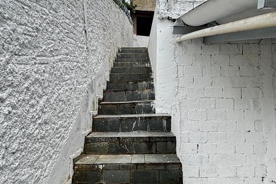 Quintal - Escada de casa para alugar com 2 quartos, 70m² em Vila Vitória, Santo André