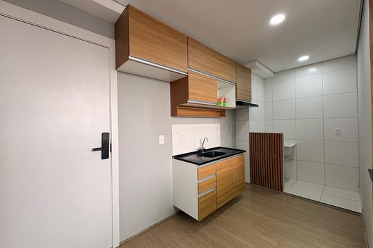 Cozinha de apartamento para alugar com 2 quartos, 42m² em Santa Maria, Santo André