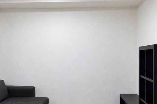 Sala de casa para alugar com 1 quarto, 46m² em Baronesa, Osasco