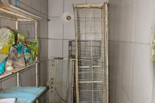 Área de Serviço de casa de condomínio para alugar com 2 quartos, 95m² em Quintino Bocaiúva, Rio de Janeiro