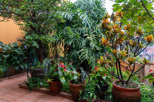 Casa à venda com 4 quartos, 173m² em Jardim Paris, São Paulo