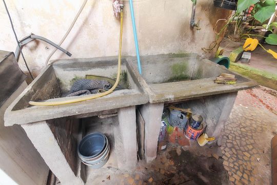 Área de Serviço de casa à venda com 3 quartos, 700m² em Guaianases, São Paulo