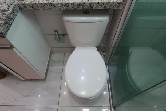 Banheiro Social de apartamento para alugar com 2 quartos, 48m² em Bandeirantes (pampulha), Belo Horizonte