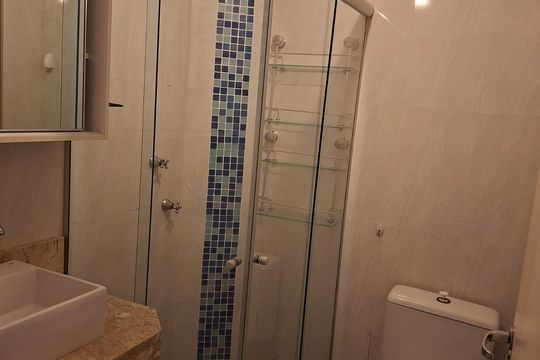 Banheiro 2 de apartamento para alugar com 2 quartos, 51m² em Jardim Nova Europa, Campinas