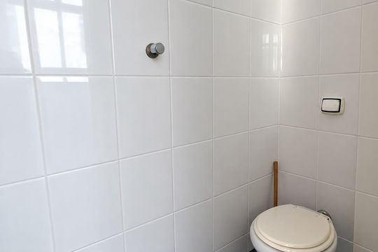 Lavabo de apartamento para alugar com 3 quartos, 74m² em Santo Antônio, Belo Horizonte