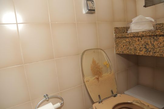 Banheiro 2 de casa para alugar com 3 quartos, 300m² em Vila Carmosina, São Paulo