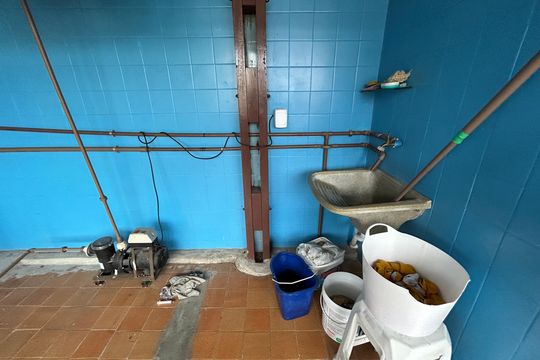 Área de Serviço de casa para alugar com 3 quartos, 270m² em Madureira, Rio de Janeiro