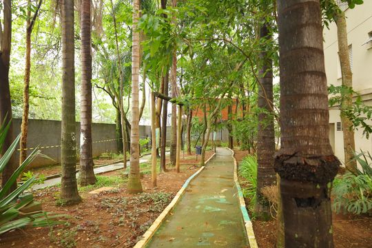 Área comum - Área verde de apartamento para alugar com 2 quartos, 50m² em Jardim Cotinha, São Paulo