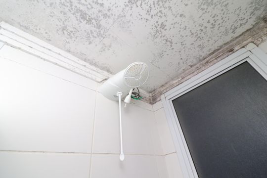 Banheiro de apartamento para alugar com 2 quartos, 41m² em Itaquera, São Paulo