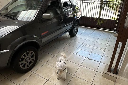 Garagem de casa à venda com 5 quartos, 180m² em Vila Florida, São Bernardo do Campo