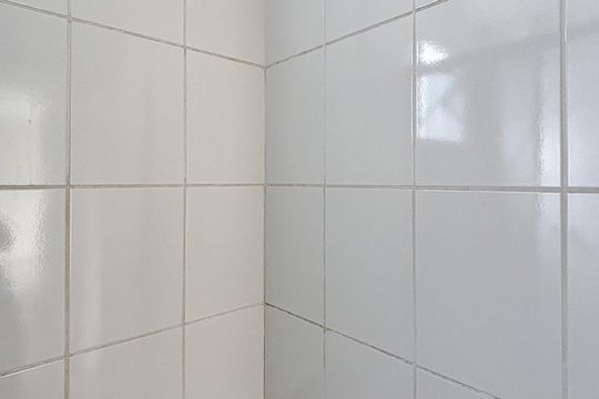 Banheiro de apartamento para alugar com 2 quartos, 54m² em Vila Moreira, São Paulo