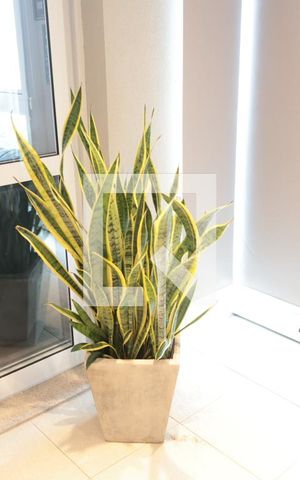Apartamento à venda com 40m², 1 quarto e 1 vagaEscritório