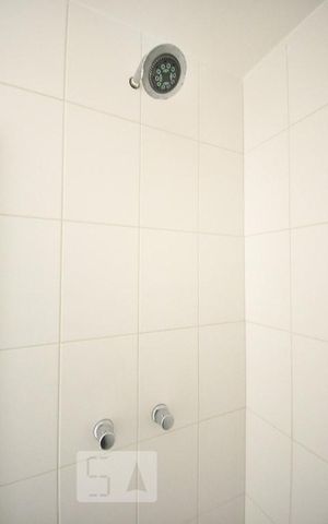 Apartamento para alugar com 51m², 2 quartos e 1 vagadetalhe do banheiro