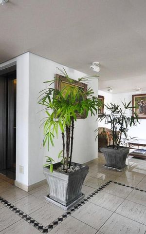 Apartamento para alugar com 100m², 3 quartos e sem vagaÁrea comum