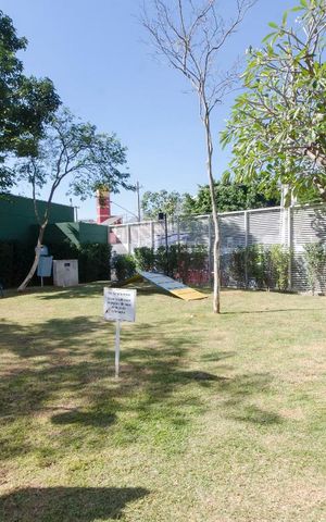 Apartamento à venda com 47m², 1 quarto e 1 vagaEspaço pet