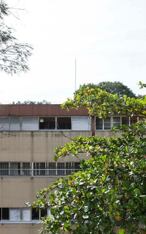 Apartamento para alugar com 60m², 3 quartos e 1 vagaVista