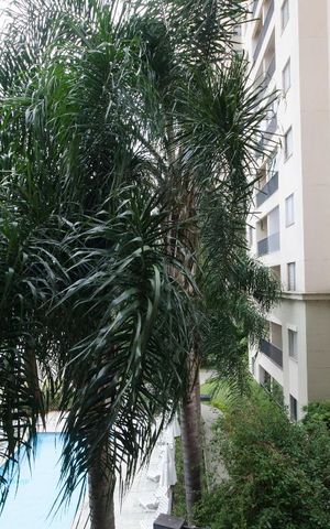 Apartamento para alugar com 50m², 2 quartos e 1 vagaVista Sacada