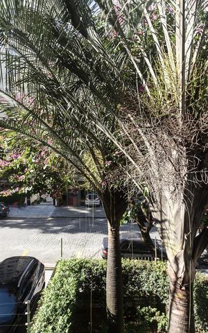 Apartamento para alugar com 200m², 4 quartos e 3 vagasVista