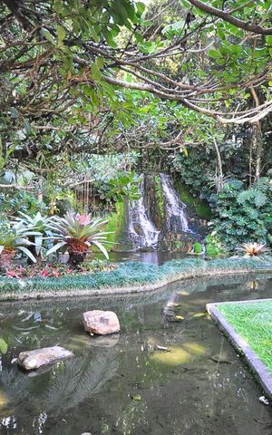 Apartamento à venda com 200m², 4 quartos e 2 vagascachoeira