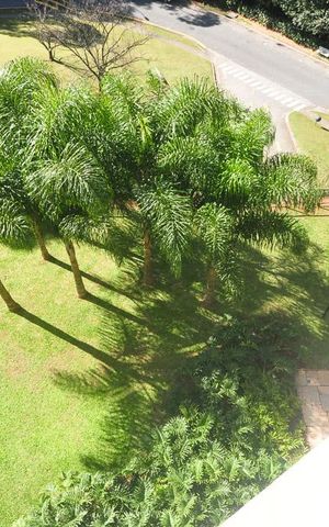Apartamento à venda com 200m², 4 quartos e 2 vagasvista para a rua