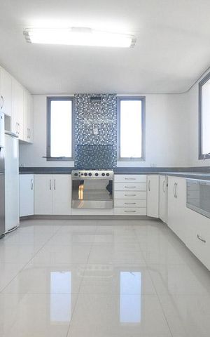 Apartamento à venda com 480m², 4 quartos e 4 vagascozinha