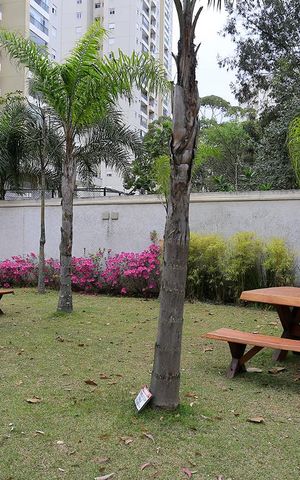 Apartamento à venda com 56m², 2 quartos e 1 vagaÁrea Social