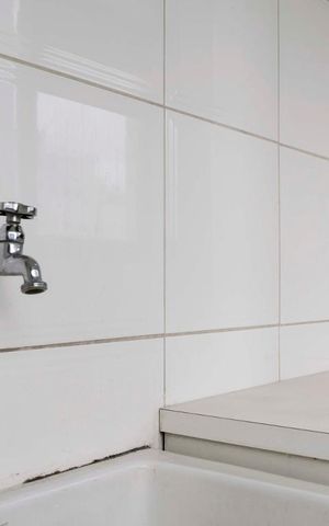 Apartamento à venda com 260m², 4 quartos e 5 vagasLavanderia