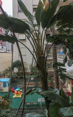 Apartamento à venda com 206m², 3 quartos e 2 vagas Apartamento à venda com 206m², 3 quartos e 2 vagasVista