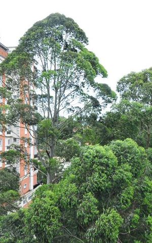 Apartamento para alugar com 211m², 3 quartos e 4 vagasvista