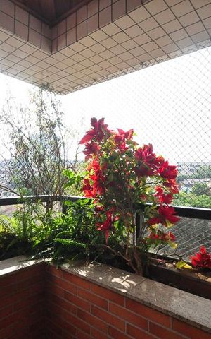 Apartamento para alugar com 141m², 3 quartos e 3 vagasvaranda