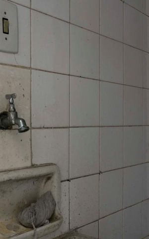 Casa para alugar com 120m², 2 quartos e 2 vagasLavanderia (Torneira)