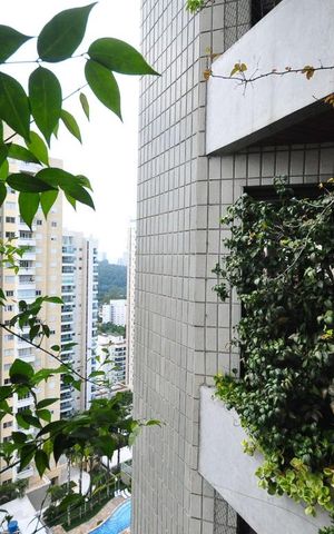 Apartamento à venda com 286m², 4 quartos e 4 vagasvista da suíte 3