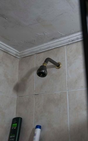 Apartamento à venda com 43m², 1 quarto e sem vagaBanheiro (Chuveiro)