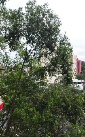 Apartamento para alugar com 73m², 3 quartos e 2 vagasVista do quarto 1
