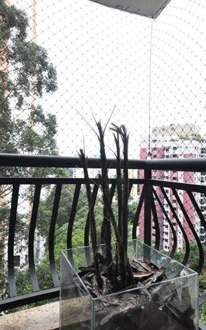 Apartamento à venda com 158m², 2 quartos e 3 vagasVaranda da suíte