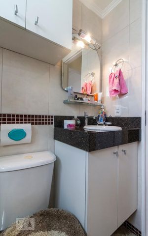 Apartamento para alugar com 50m², 2 quartos e 1 vagaGabinete banheiro 