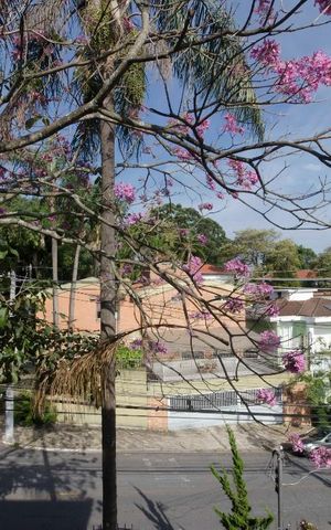 Casa à venda com 577m², 5 quartos e 7 vagasVista Quarto 1