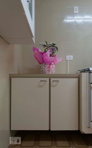 Apartamento para alugar com 66m², 3 quartos e 1 vagaCozinha (Armários)