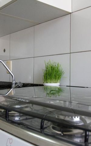 Apartamento à venda com 59m², 3 quartos e 1 vagaPia da Cozinha 