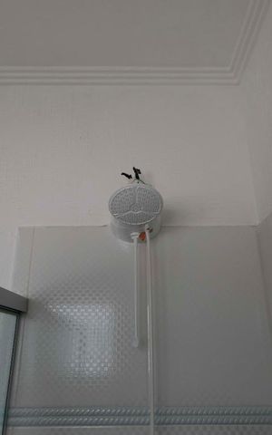 Casa para alugar com 307m², 4 quartos e 3 vagas2o. Andar - Banheiro social (Chuveiro)
